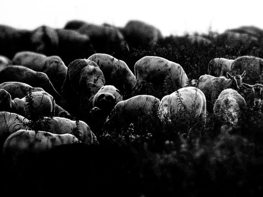 Sospeso — Stampa Fine Art